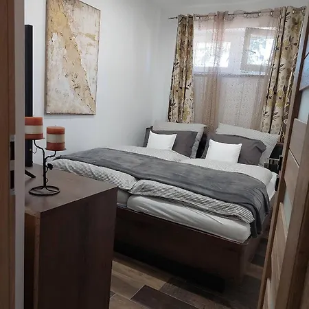 Dr Becsey Luxury -privat Medence ,jakuzzi,szauna Bekescsaba