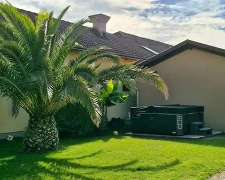 Dr Becsey Luxury -privat Medence ,jakuzzi,szauna Ubytování v soukromí Bekescsaba